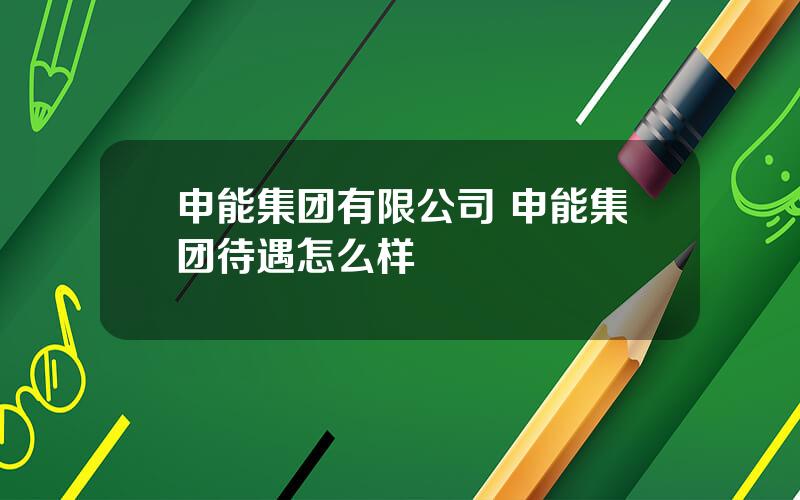 申能集团有限公司 申能集团待遇怎么样